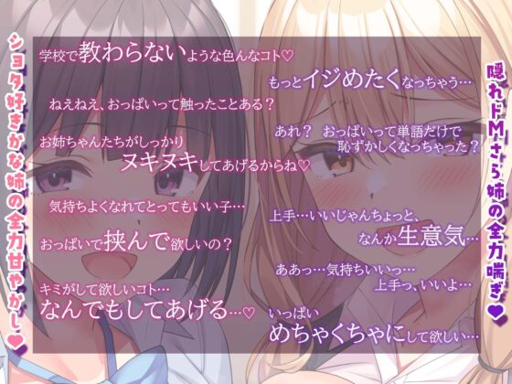 甘やかし過ぎるお姉ちゃんかな×ギャルで欲しがりお姉ちゃんさらとの脳バグ密着ゼロ距離セックス [性癖すいっち] | DLsite 同人 - R18