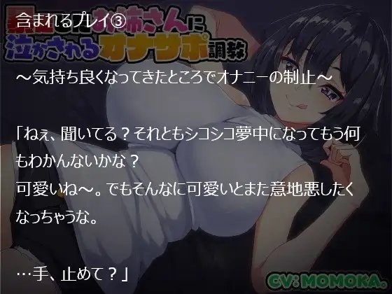 暴走したお姉さんに泣かされるオナサポ調教 [ボロボロストーリーズ] | DLsite 同人 - R18