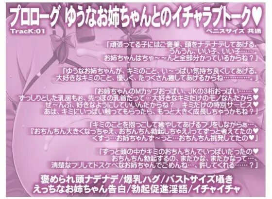 Mカップ爆乳お姉ちゃんは弟くんのキミをえろえろびっちに堕としたい【NATURALCORDE音声作品】 [KI-SofTWarE] | DLsite 同人 - R18