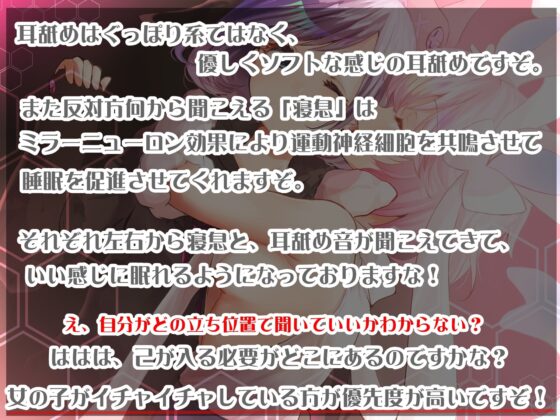 【眠れる耳舐め】人気実況者と夜の役割論理 したでなめるはありえないwww [チームランドセル] | DLsite 同人 - R18