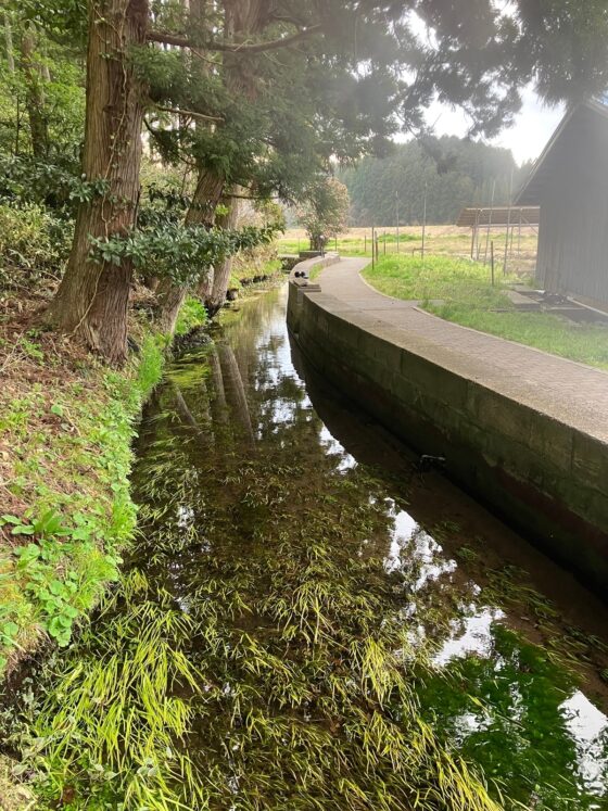 耳舐め&amp;耳ふーサンドイッチ 田舎の癒し ～山形県遊佐町音源～ 【耳恋なかさん&amp;そよかぜみらいさん/安眠特化/環境音現地収録】 [チームランドセル] | DLsite 同人 - R18
