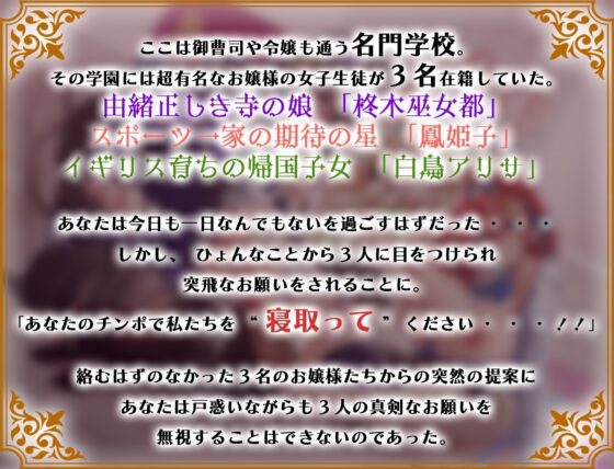 【期間限定価格110円】学園のご令嬢3人娘は婚約者と別れるために貴方の子どもを孕みたい【お願いNTR】 [脳汁ドロップ] | DLsite 同人 - R18