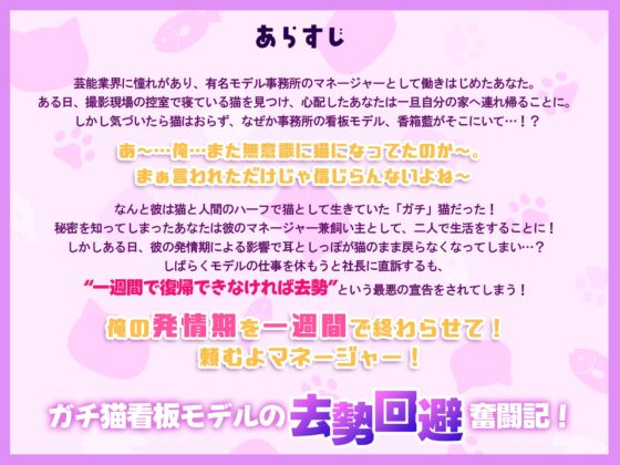 「飼い猫のわがままくらい、聞いてくれるでしょ?♡」猫権侵害！?ガチ猫系男子の去勢回避奮闘記～なんとかしてマネージャー！～♡抜いて抜いて抜きまくる7日間♡ [感情JETCOASTER] | DLsite がるまに