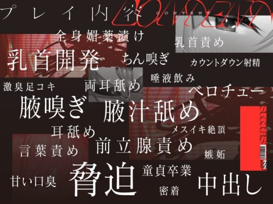 低音ボイスの汗だくサキュバスによる乳首責めと前立腺責め [ユーフォリアファクトリー] | DLsite 同人 - R18