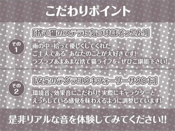 雨濡れ捨て猫のえちえち育成性活。【フォーリーサウンド】 [テグラユウキ] | DLsite 同人 - R18