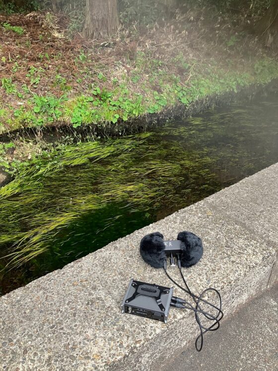 耳舐め&amp;耳ふーサンドイッチ 田舎の癒し ～山形県遊佐町音源～ 【耳恋なかさん&amp;そよかぜみらいさん/安眠特化/環境音現地収録】 [チームランドセル] | DLsite 同人 - R18