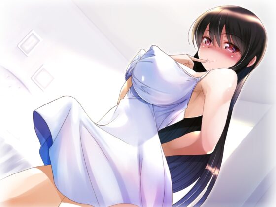 ふたなり風俗体験記～甘責めお姉さんの逆アナル調教～ [加虐趣味な彼女] | DLsite 同人 - R18