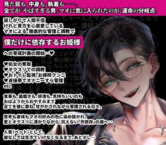 【関西弁反社おにいさんの】僕、ええ趣味しとる言うたやろ? ～貴方は身内の不始末で怖いお兄さんの人質(ペット)ちゃんになりました～【オクスリずぶずぶ快楽漬け】 [parasite garden] | DLsite がるまに