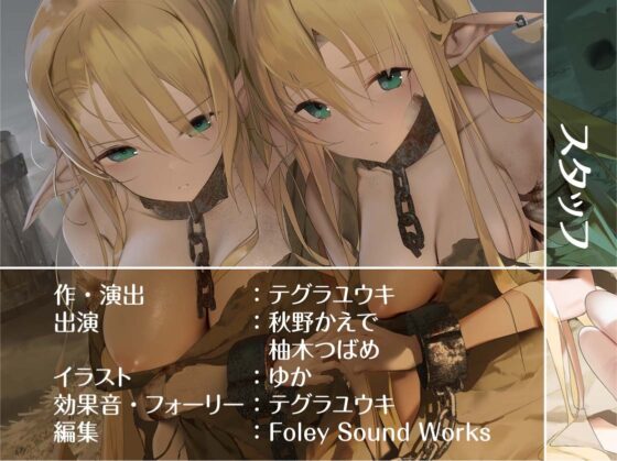 姉妹エルフ奴隷との甘々中出し性活～ボロボロのエルフ二人を助けて可愛がって孕ませる～【フォーリーサウンド】 [テグラユウキ] | DLsite 同人 - R18