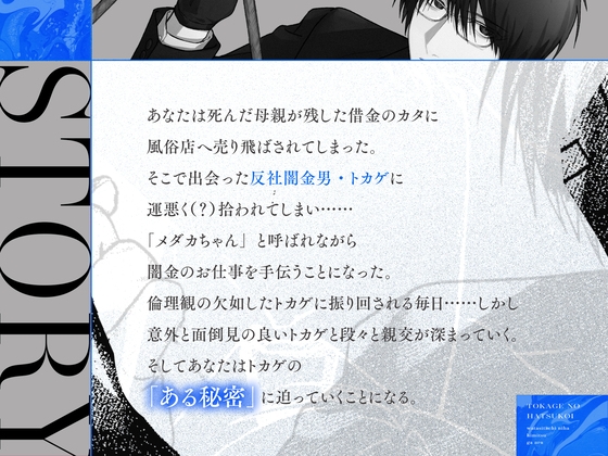 トカゲの初恋 [こぐまクッキー] | DLsite がるまに