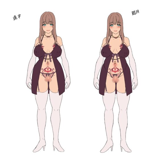 【ふたなり×ボテ腹×純愛】元チート能力持ち勇者の完全屈服ボテ腹ラブラブ新婚生活 [ヒット&アウェイ] | DLsite 同人 - R18