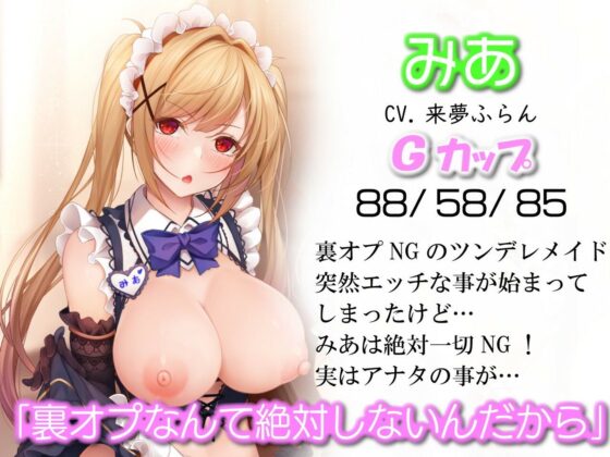裏オプ解禁！普通のメイド喫茶がある日突然抜き有りドスケベメニュー始めたら…〜スタンプ集めてハーレム3回転〜