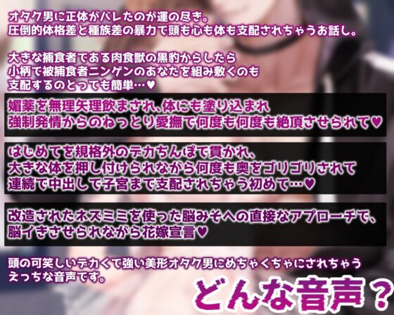 【キモオタ×拉致×強○花嫁】Caught by Demi ～キモオタクの黒豹さんは、小さくて可愛い貴方(ニンゲン)をお嫁さんにしたい！ [Nemophila's Coffin] | DLsite がるまに