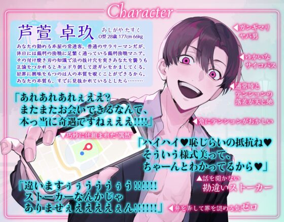 脱法ストーカー合法レ●プ〜口達者の無法者が劇場型ゴールインを決めるまで〜