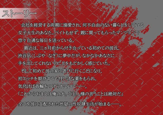 【5/11まで20%オフ】愛とかいらない 初彼に雌犬にされた私の性奴○生活 [アンチカタルシス] | DLsite がるまに