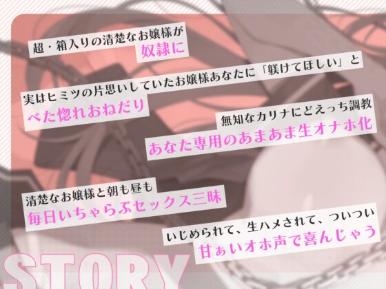 【甘オホ】清楚なお嬢様が奴○になったので買ってみた。～毎日いちゃらぶおまんこ交尾で甘オホが止まらない～ [BBQ-TIME] | DLsite 同人 - R18