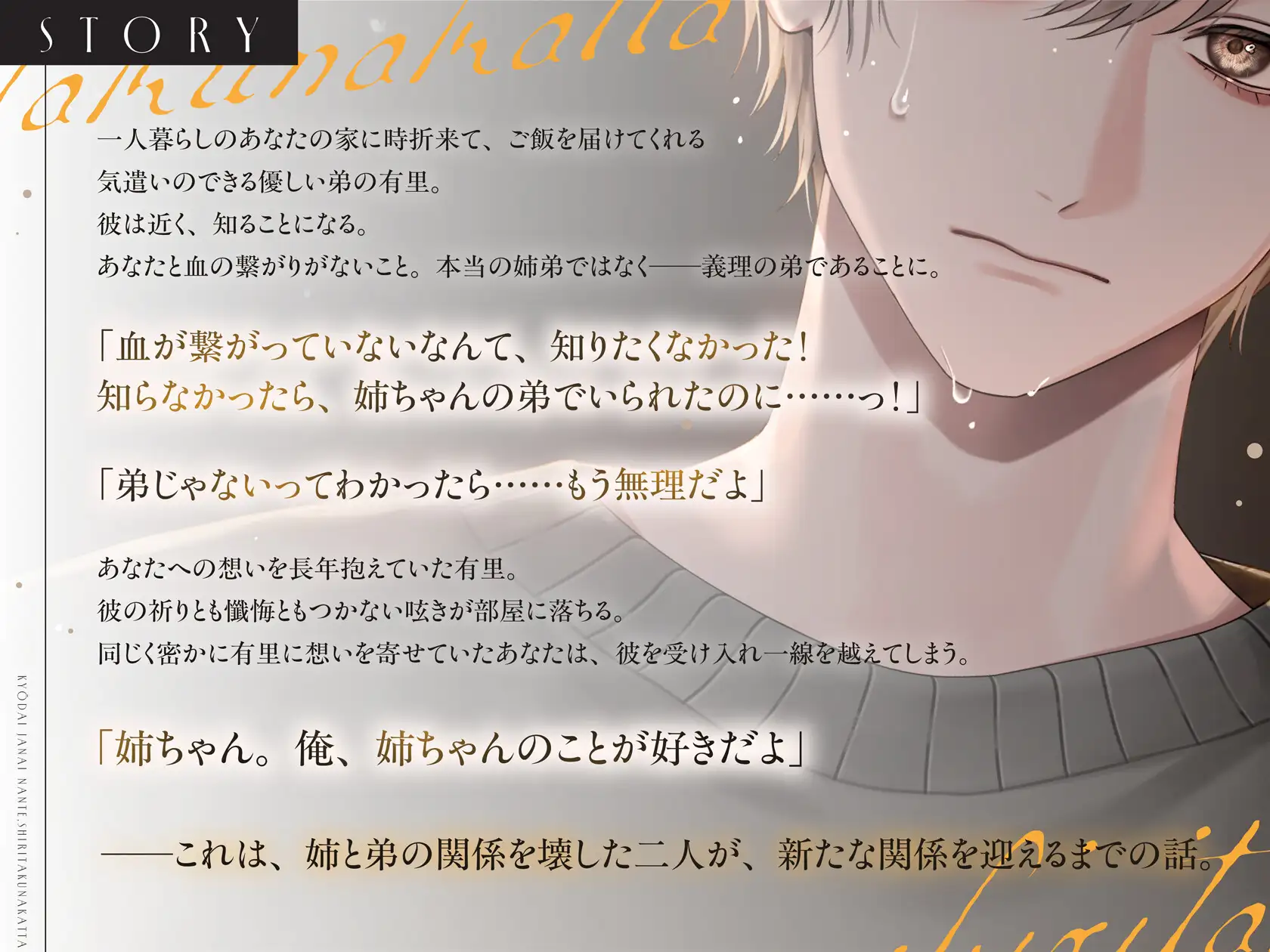 【義弟×禁断×恋慕】姉弟じゃないなんて、知りたくなかった [すぽっとらいち] | DLsite がるまに